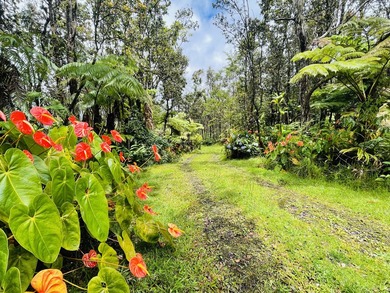 Come Home to Royal Hawaiian Estates near Volcano Village! This - photo 29