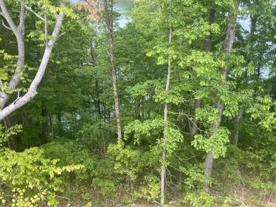 .64 Acre Lake Cumberland View Building Lot - photo 5