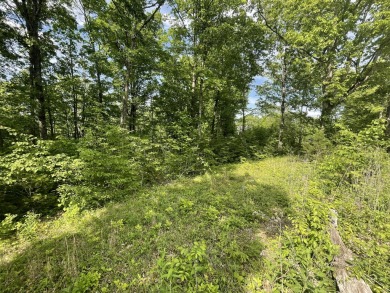 .64 Acre Lake Cumberland View Building Lot - photo 10