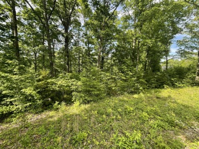 .64 Acre Lake Cumberland View Building Lot - photo 11
