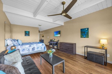 Ground floor Kihei Bay Surf studio with ocean views from the - photo 8