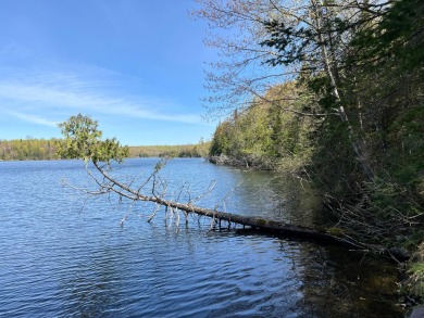 Stateline Lake Parcel - Lake Acreage For Sale in Presque Isle, Wisconsin