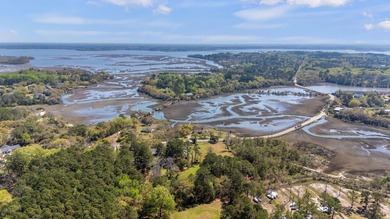 Build your dream home on this beautiful marsh-view lot in - photo 4