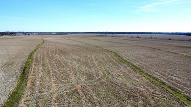 This farm, totaling 606.5 acres, is comprised of four tracts - photo 18