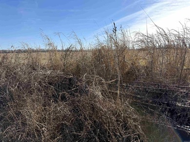 This farm, totaling 606.5 acres, is comprised of four tracts - photo 19