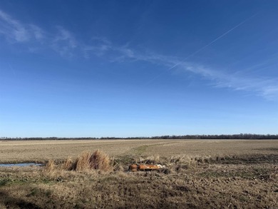 This farm, totaling 606.5 acres, is comprised of four tracts - photo 22