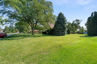 This wonderful home is situated on a large private corner lot - photo 30
