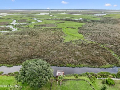 Coastal Paradise on the Tidal Creek with Expansive Marsh Views - photo 37