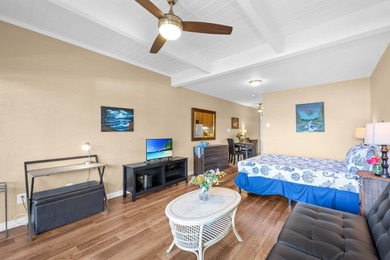 Ground floor Kihei Bay Surf studio with ocean views from the - photo 8