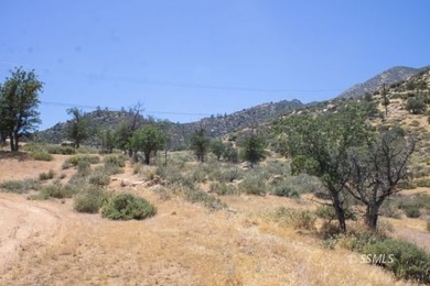 Opportunity awaits with these two parcels totaling approximately - photo 1