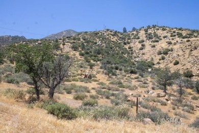 Opportunity awaits with these two parcels totaling approximately - photo 2