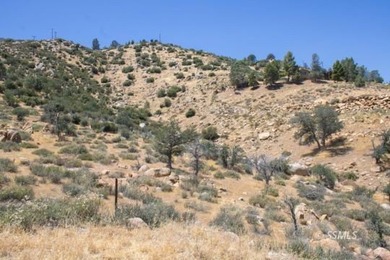 Opportunity awaits with these two parcels totaling approximately - photo 4