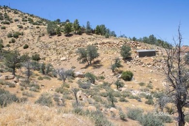 Opportunity awaits with these two parcels totaling approximately - photo 5