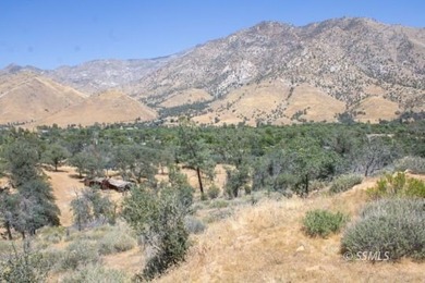 Opportunity awaits with these two parcels totaling approximately - photo 7