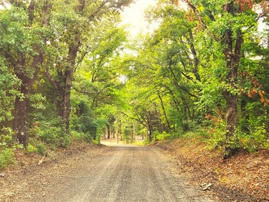 Safari Waters Ranch Lakes Acreage For Sale in Larue Texas