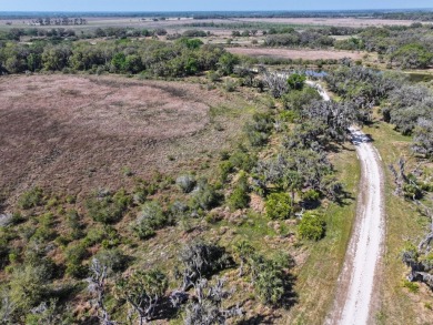 (private lake, pond, creek) Acreage For Sale in Lake Placid Florida