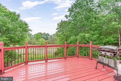 Amazing colonial in quiet cul-da-sac.  Home has a new roof in - photo 19
