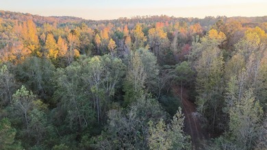 Lake Acreage For Sale in Alexander City, Alabama