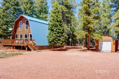 Navajo Lake Home For Sale in Duck Creek Village Utah