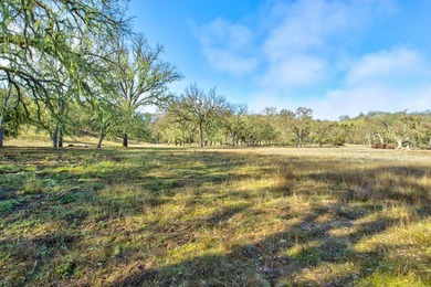 The Cantinas Ranch spans 587 acres of untouched California - photo 2
