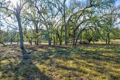 The Cantinas Ranch spans 587 acres of untouched California - photo 4