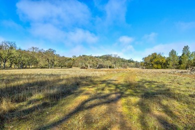 The Cantinas Ranch spans 587 acres of untouched California - photo 5