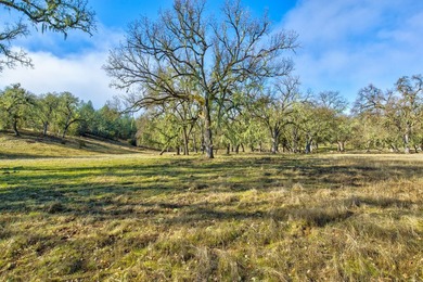The Cantinas Ranch spans 587 acres of untouched California - photo 6