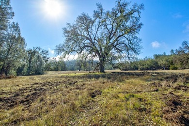 The Cantinas Ranch spans 587 acres of untouched California - photo 7
