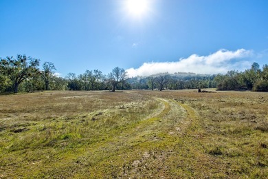 The Cantinas Ranch spans 587 acres of untouched California - photo 8