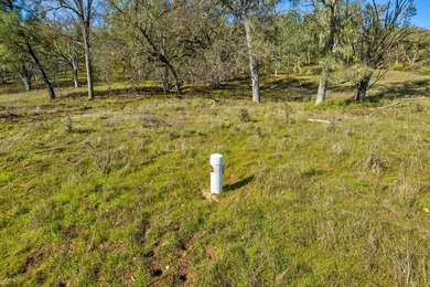 The Cantinas Ranch spans 587 acres of untouched California - photo 9