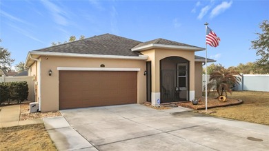 Lake Yale Home For Sale in Grand Island Florida