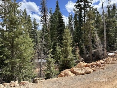 Navajo Lake Lot For Sale in Duck Creek Village Utah