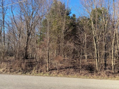 Lake Lot For Sale in Mount Gilead, Ohio