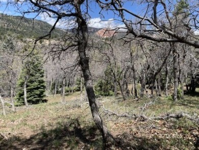 Navajo Lake Lot For Sale in Duck Creek Village Utah