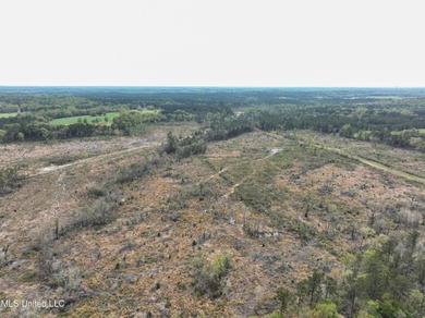 (private lake, pond, creek) Acreage For Sale in Perkinston Mississippi