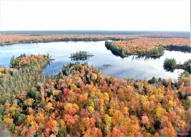 (private lake, pond, creek) Acreage For Sale in Shingleton Michigan