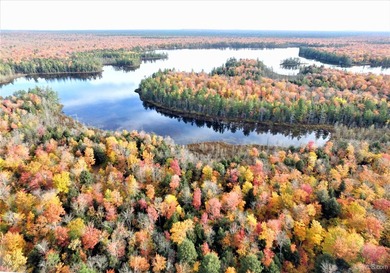 This 403-acre property located in both Alger and Schoolcraft - photo 3