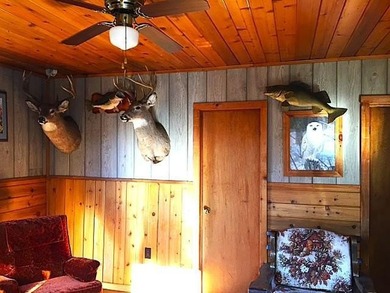 Seller will consider Contract for Deed. Black Bay Rainy Lake 1 - photo 4