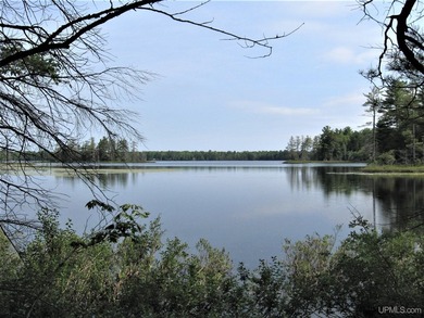 This 403-acre property located in both Alger and Schoolcraft - photo 4