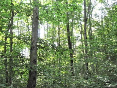 This 403-acre property located in both Alger and Schoolcraft - photo 8