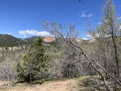 Navajo Lake Lot For Sale in Duck Creek Village Utah