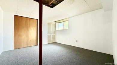 Lovely And Well-Maintained Raised Ranch Set on 67 x 161 Property - photo 19