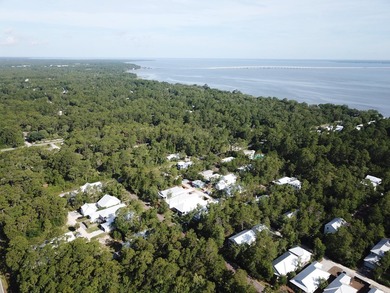 This Point Washington residential lot is locatated in the - photo 23