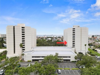 (private lake, pond, creek) Condo For Sale in St. Petersburg Florida