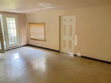 Single-family home set among mature trees in the heart of Tampa - photo 3
