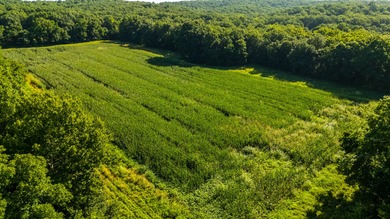 Situated just minutes from Warsaw, this remarkable 362+/- acre - photo 13
