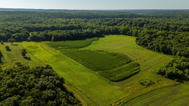 Situated just minutes from Warsaw, this remarkable 362+/- acre - photo 14