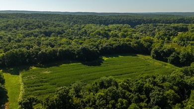 Situated just minutes from Warsaw, this remarkable 362+/- acre - photo 15