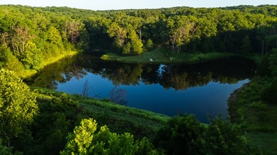 Situated just minutes from Warsaw, this remarkable 362+/- acre - photo 16