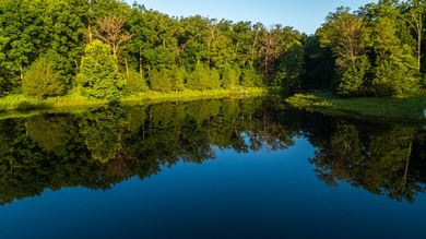 Situated just minutes from Warsaw, this remarkable 362+/- acre - photo 17